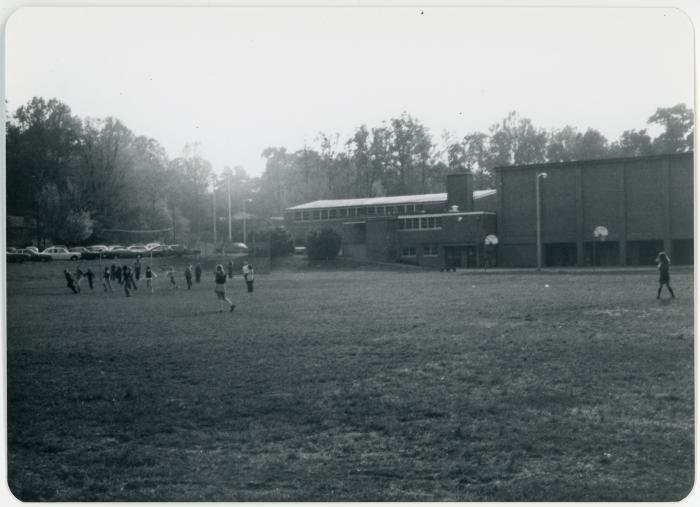 Children Playing in a Field