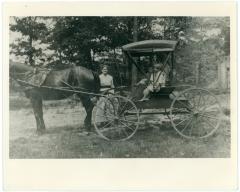 Family With Horse and Buggy