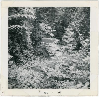 Ball Family Cemetery