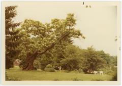 Gardens At Glebe House