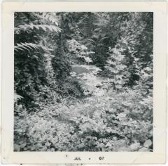 Ball Family Cemetery