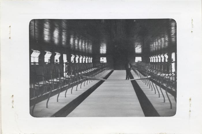 Rose Hill Farm Dairy interior, 1942