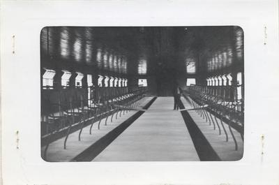 Rose Hill Farm Dairy interior, 1942
